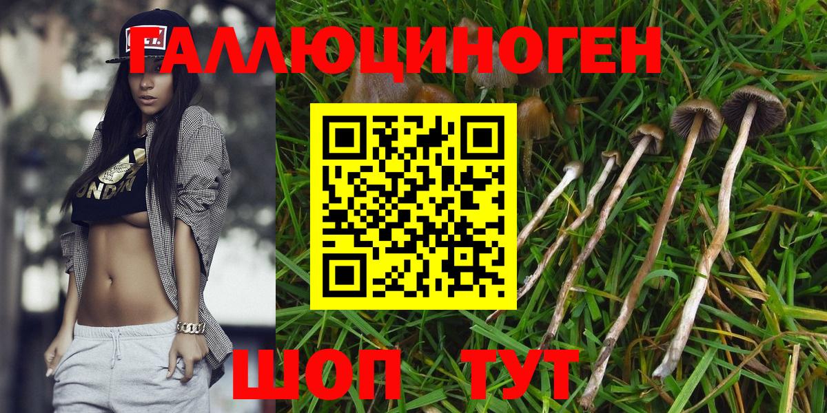 Галлюциногенные грибы GOLDEN TEACHER  Вход с VPN  Балашиха 